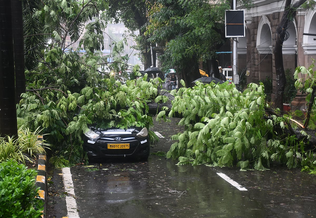 A tree falls on DN road near CSMT following heavy rain and gusty winds, in Mumbai