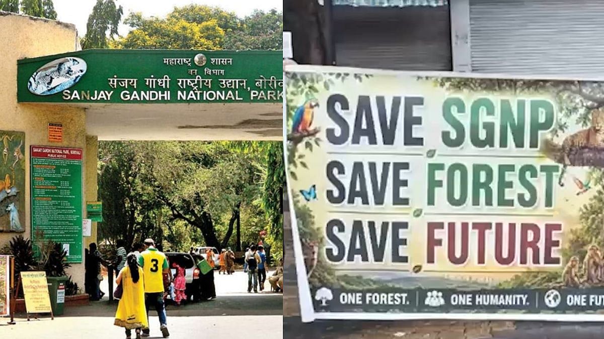 What Is The 'Save SGNP' Movement? Understanding The Protest Against Development Near Mumbai's Sanjay Gandhi National Park
