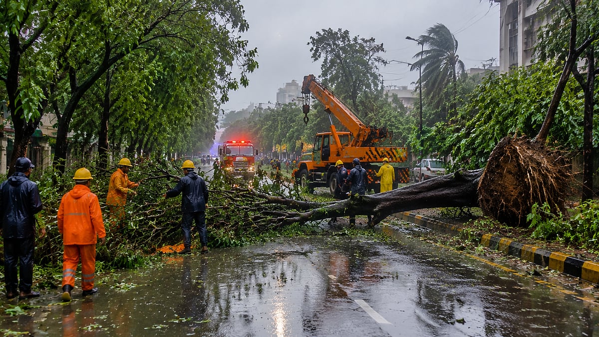 Navi Mumbai Records 53.4 mm Rain, 62 Trees Uprooted As Strong Winds Lash City; NMMC Teams Work Round-The-Clock