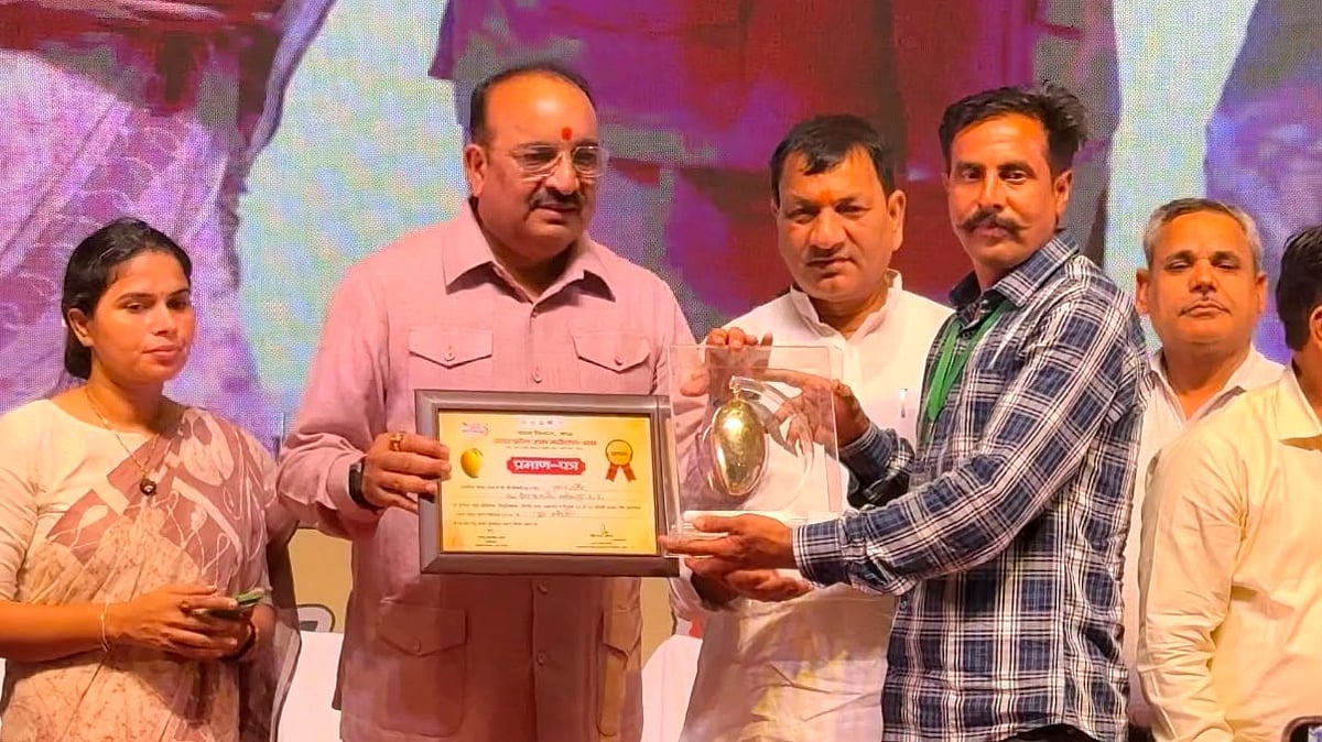 Aalirajpur farmer wins seven first prizes for mango varieties 
