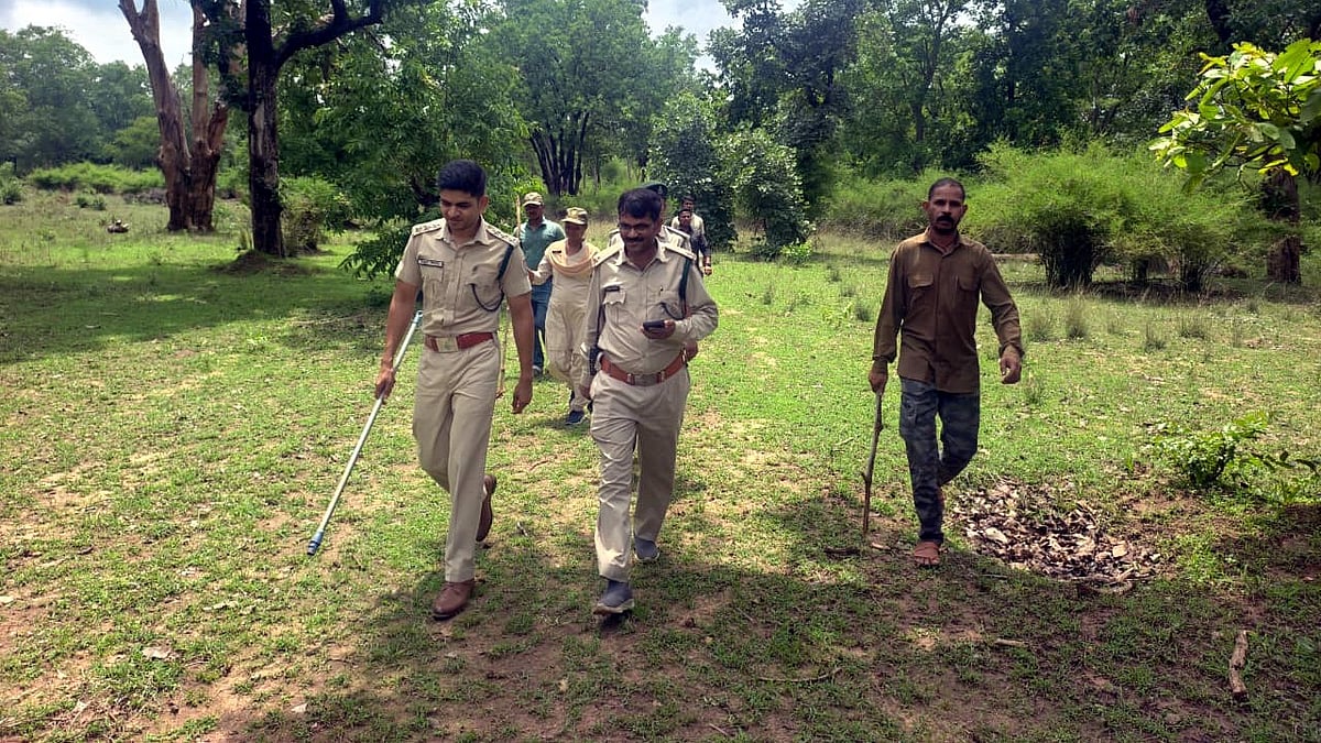 Madhya Pradesh Tiger Reserves Begin Monsoon Patrolling