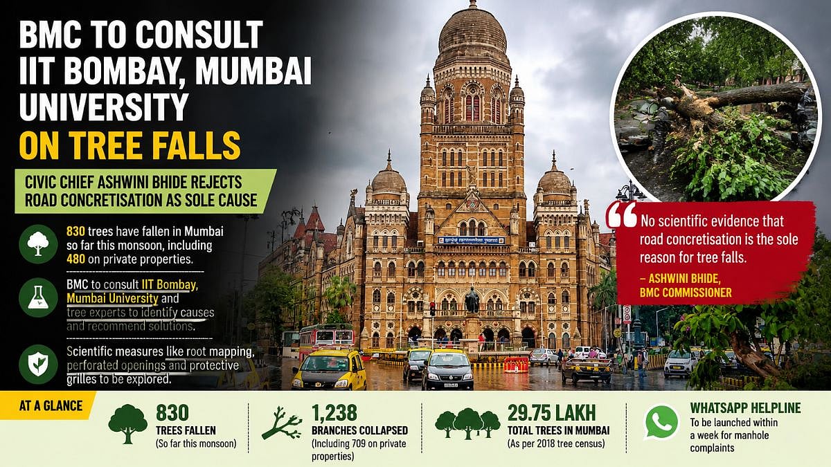 BMC To Consult IIT Bombay, Mumbai University On Tree Falls As Civic Chief Ashwini Bhide Rejects Road Concretisation As Sole Cause