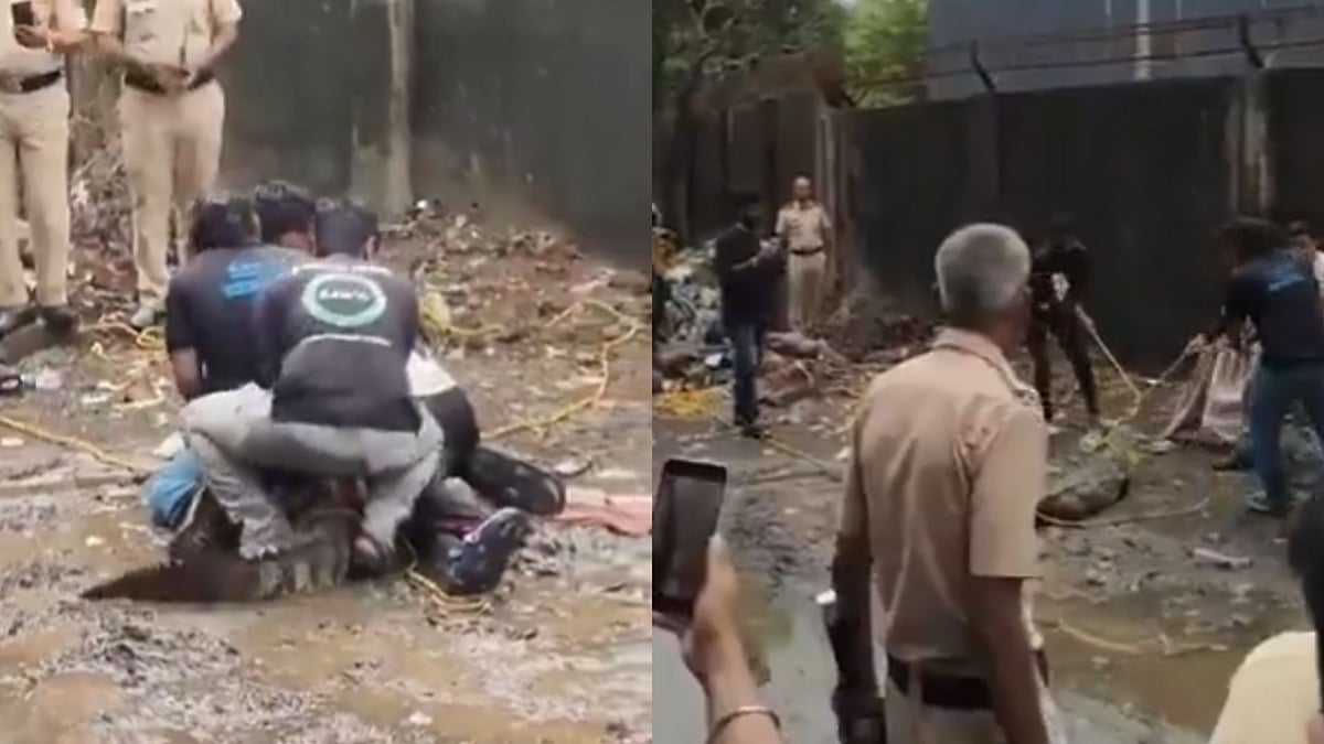 WATCH! Crocodile Rescued Safely After Sighting Near Mumbai's Powai NITIE Area