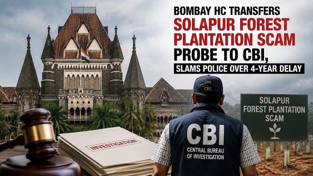 Bombay HC Transfers Solapur Forest Plantation Scam Probe To CBI, Slams Police Over 4-Year Delay