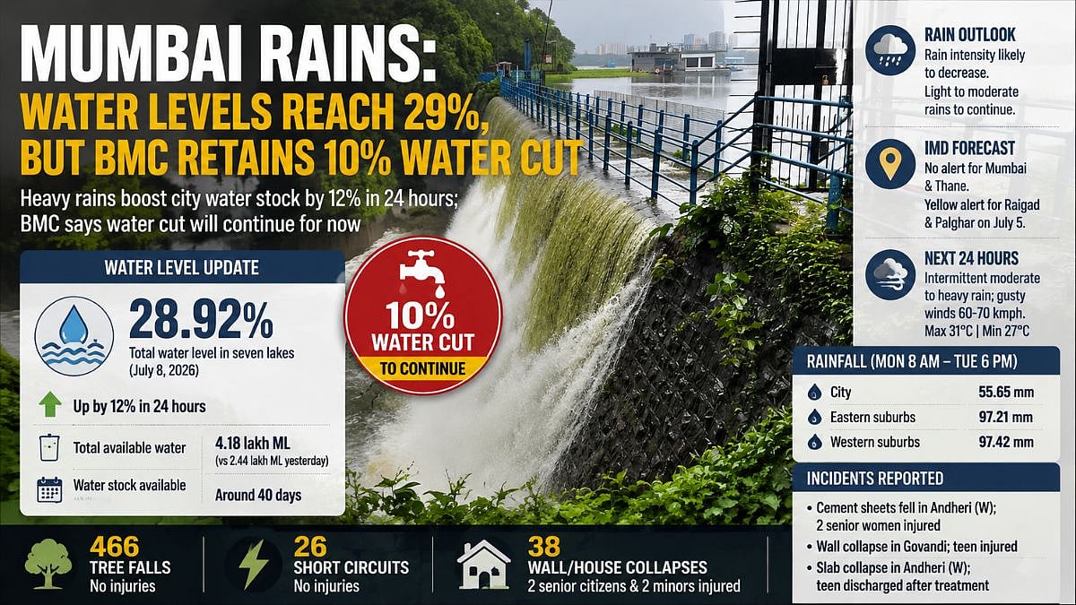 Mumbai Rains: Reservoir Levels Reach 29 Per Cent, But BMC Retains 10 Pc Water Cut