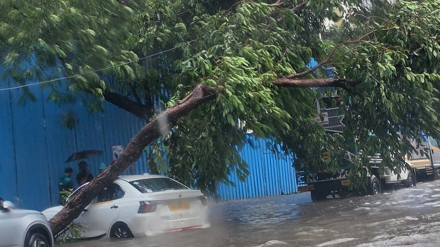 Thane's Concrete Nightmare: Monsoon Floods Expose Urban Planning Failure As Citizens Pay Heavy Price For Greed