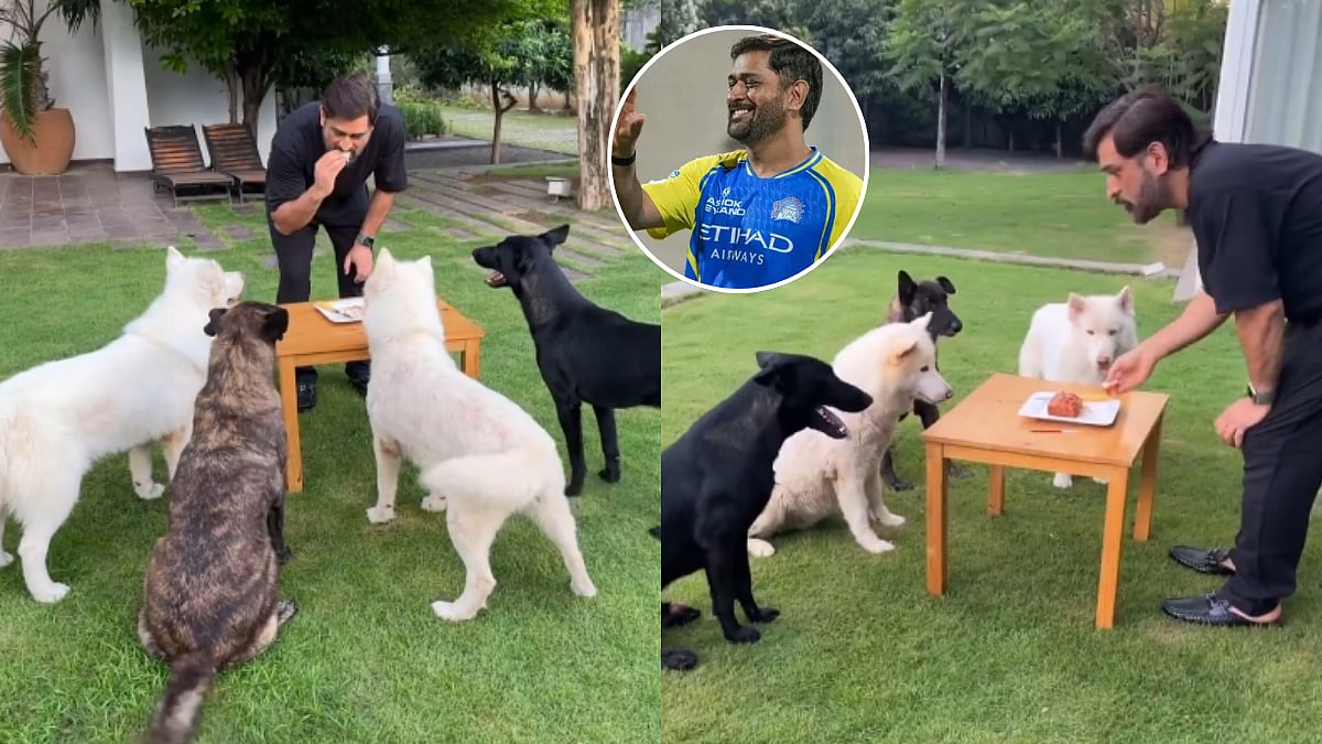This Is How MS Dhoni Celebrates His Birthday With His Pet Dogs; Adorable Old Video Goes Viral