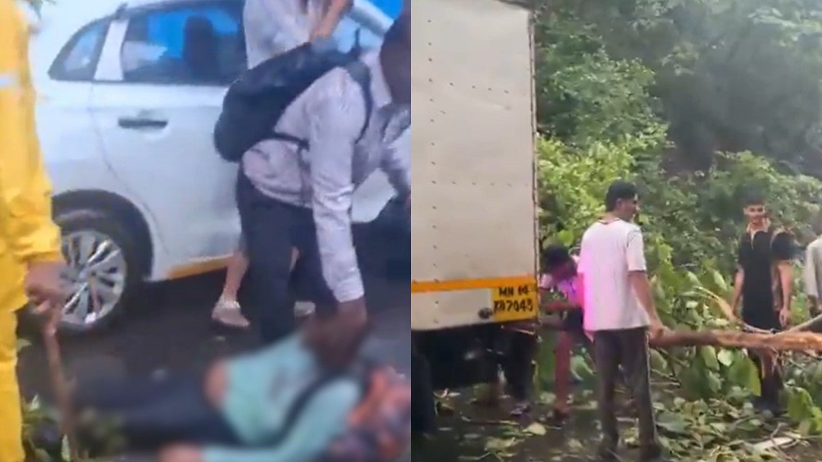 Heavy Rains Trigger Tree Mishaps: Motorist Injured In Andheri; Khopoli Man Dies While Clearing Fallen Tree In Khandala Ghat