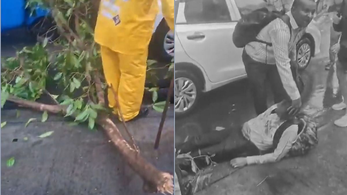 Mumbai Monsoon Tragedy: 50-Year-Old Man In ICU After Branch Collapses In Andheri Amid Rising Safety Concerns | Video
