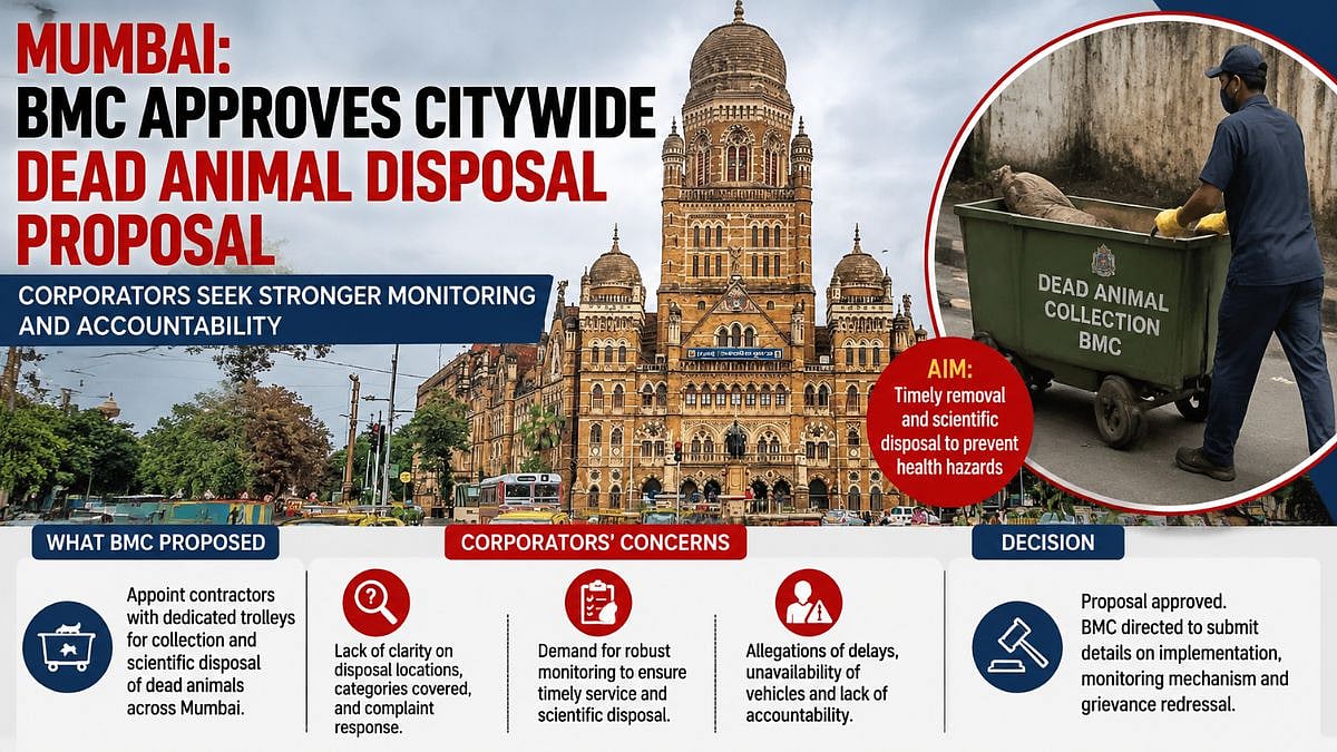 Mumbai: BMC Approves Citywide Dead Animal Disposal Proposal, Corporators Seek Stronger Monitoring And Accountability