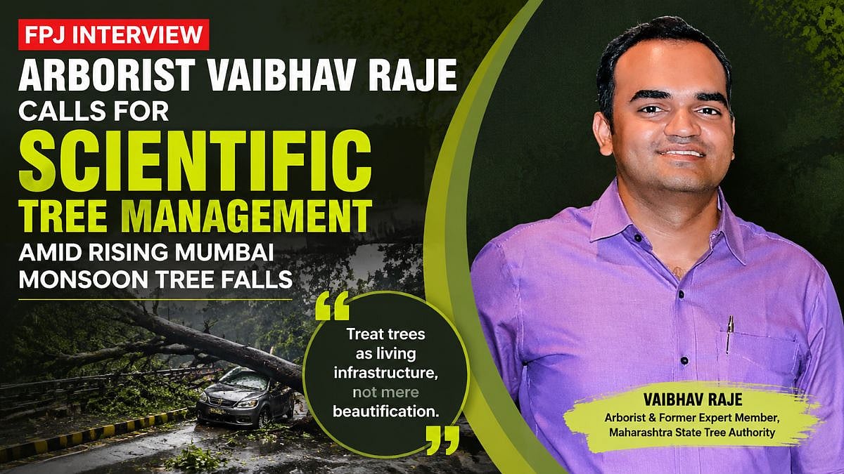 FPJ Interview: Arborist Vaibhav Raje Calls For Scientific Tree Management Amid Rising Mumbai Monsoon Tree Falls