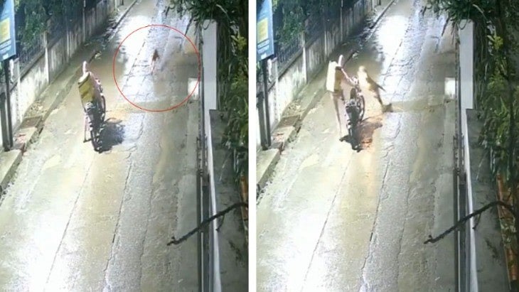 Narrow Escape For Delivery Boy After Leopard Waylays Him In Indore's Residential Area | VIDEO