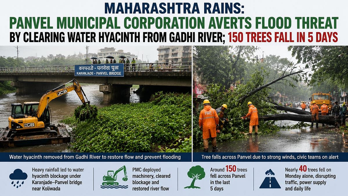 Maharashtra Rains: Panvel Municipal Corporation Averts Flood Threat By Clearing Water Hyacinth From Gadhi River; 150 Trees Fall In 5 Days