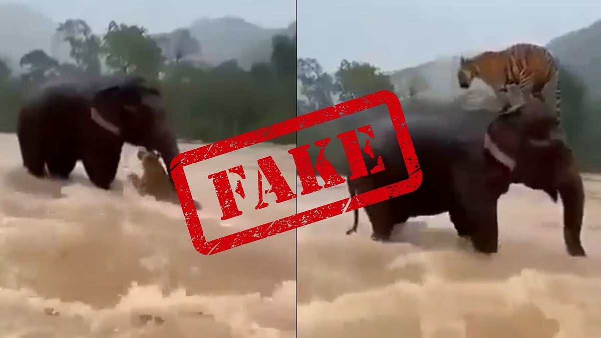 Fact Check: Resurfaced Viral Video Of Elephant Rescuing Tiger In Indonesian Floodwaters Is AI-Generated, Not Real