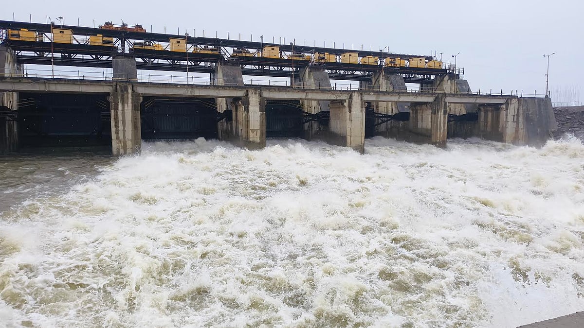 Nashik: 18 Youths Rescued After Water Release From Nandur Madhmeshwar Dam