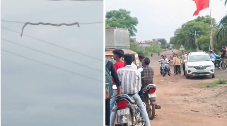 8-Foot Snake Spotted Slithering On High-Voltage Power Line In MP's Shivpuri | VIDEO