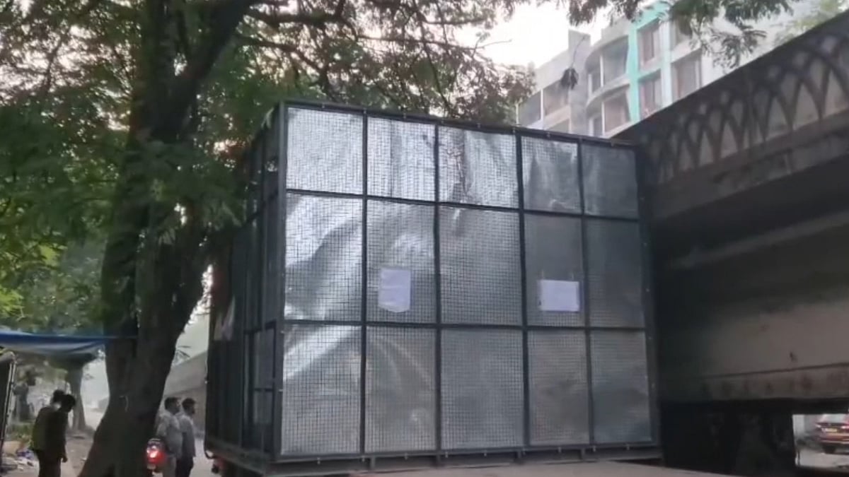Bhiwandi Traffic Chaos: Container Stuck Under Tree Branches, School Buses Trapped For Nearly An Hour