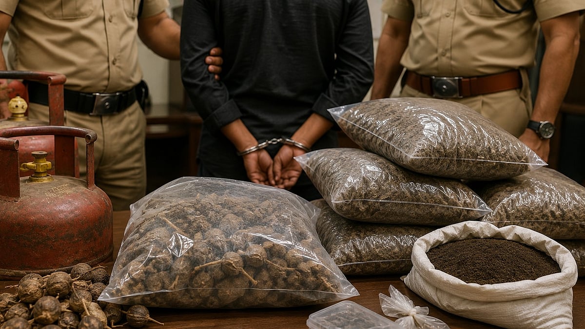 Nashik: Gas Repairman Arrested For Drug Smuggling, 51 kg Doda Seized