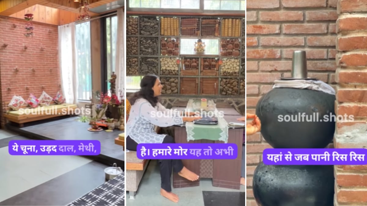 Breathing Walls, 3-Pot Water Filter System & Peacocks Dancing On Entrance— IIT Alumna & US Return...