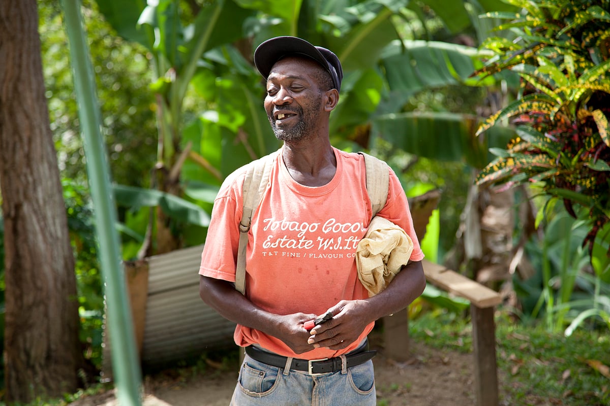 Member of staff at Tobago Cocoa Estate