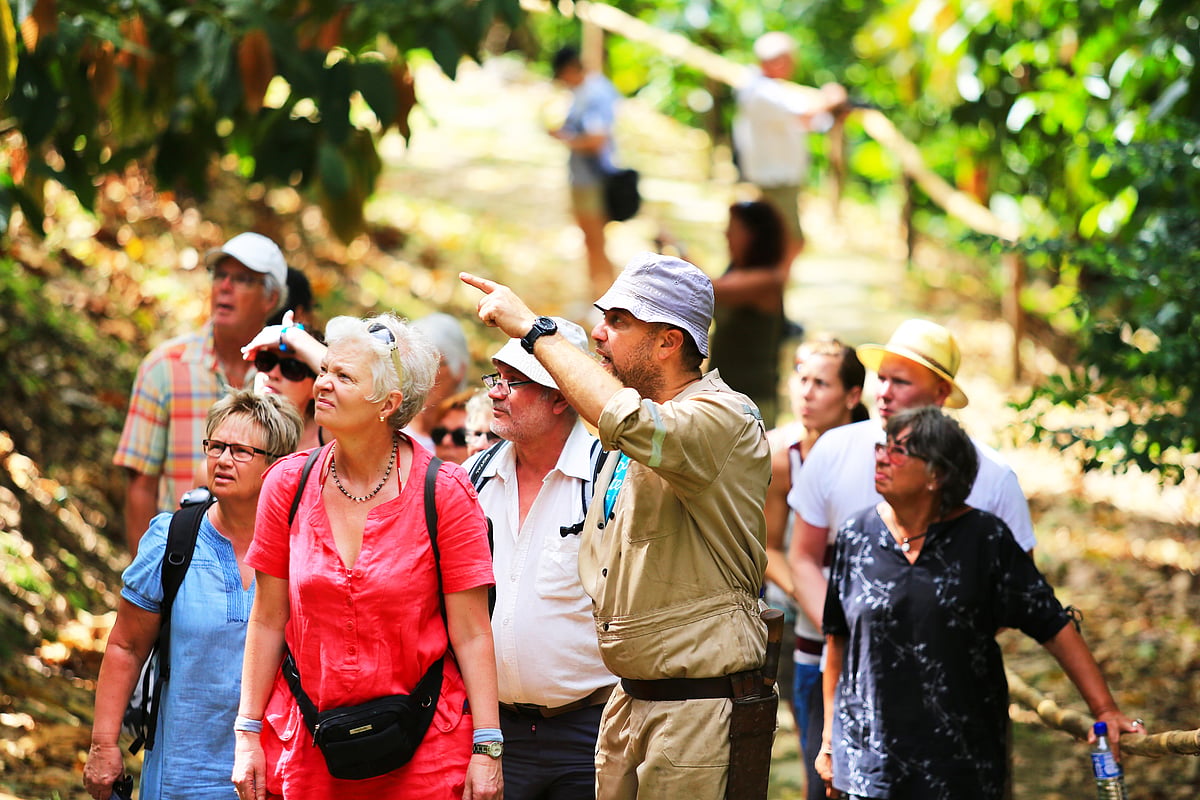 Duane Dove leads a tour of his Tobago Cocoa Estate
