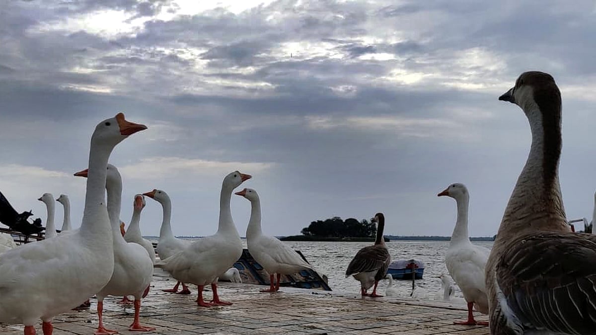 Tome And Plume: Balmy Draught Blowing Off Upper Lake Keeps City Cool