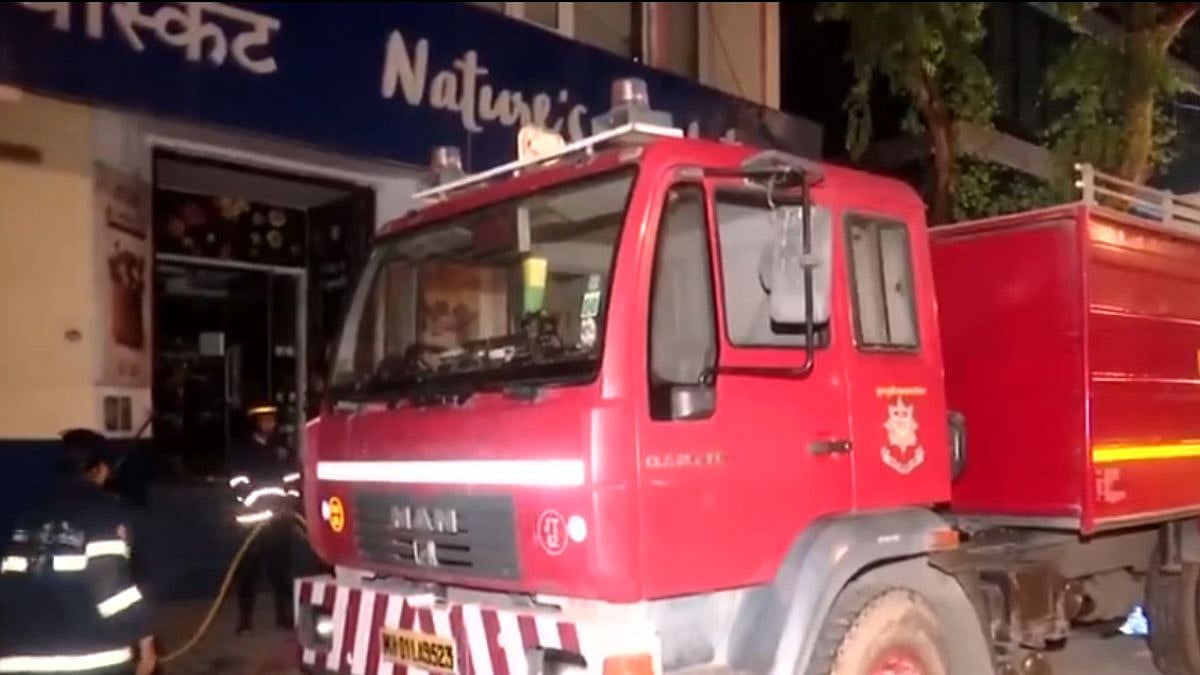 Mumbai: Blaze Erupts In Nature's Basket Basement Storeroom On Bandra's Hill Road; No Casualties Reported | Video