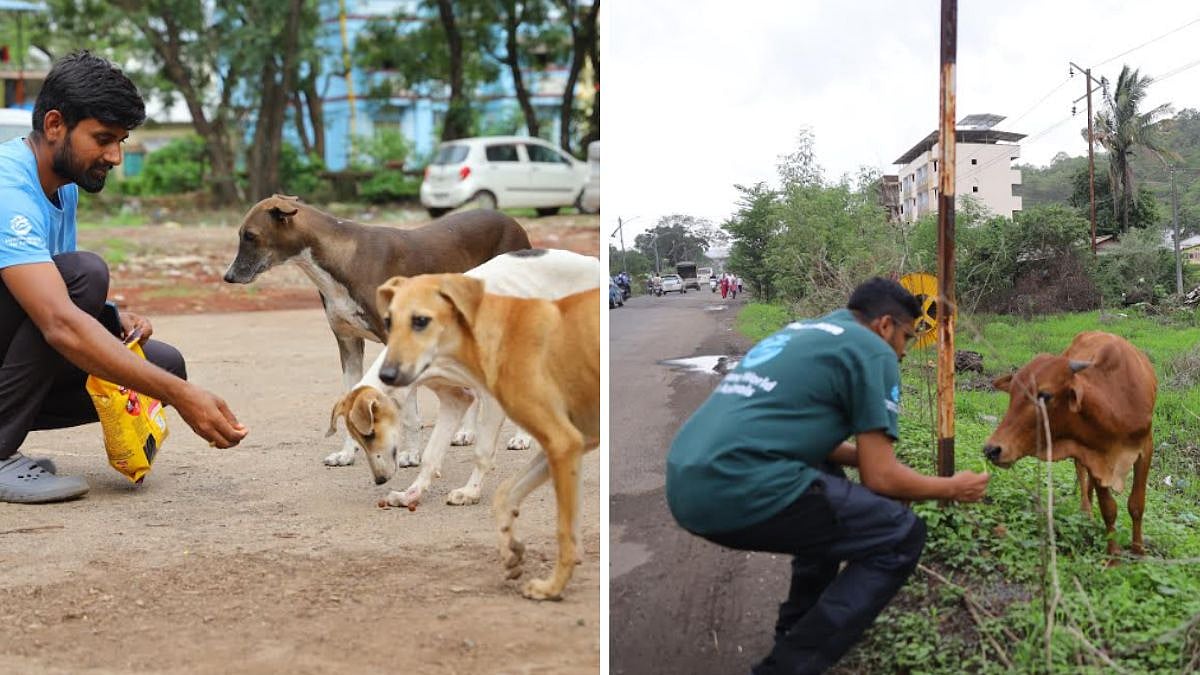 Emergency Relief Operations Begin In Raigad For Animals Affected By Maharashtra Floods