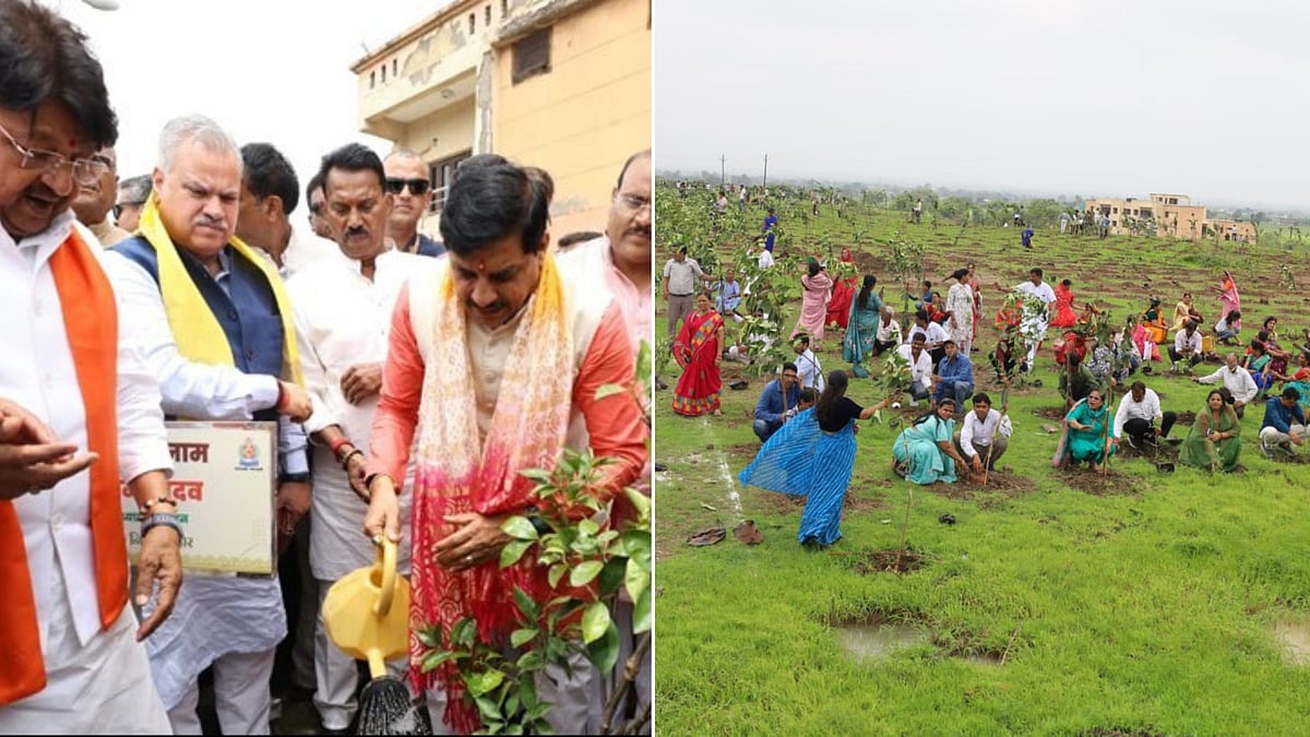 Ek Ped Maa Ke Naam: CM Launches 21 Lakh Sapling Drive