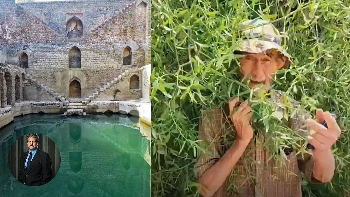 Who Is 'Pagal Saab'? Meet The 80-Year-Old Irishman Anand Mahindra Praised For Reviving Jodhpur's Forgotten Stepwells