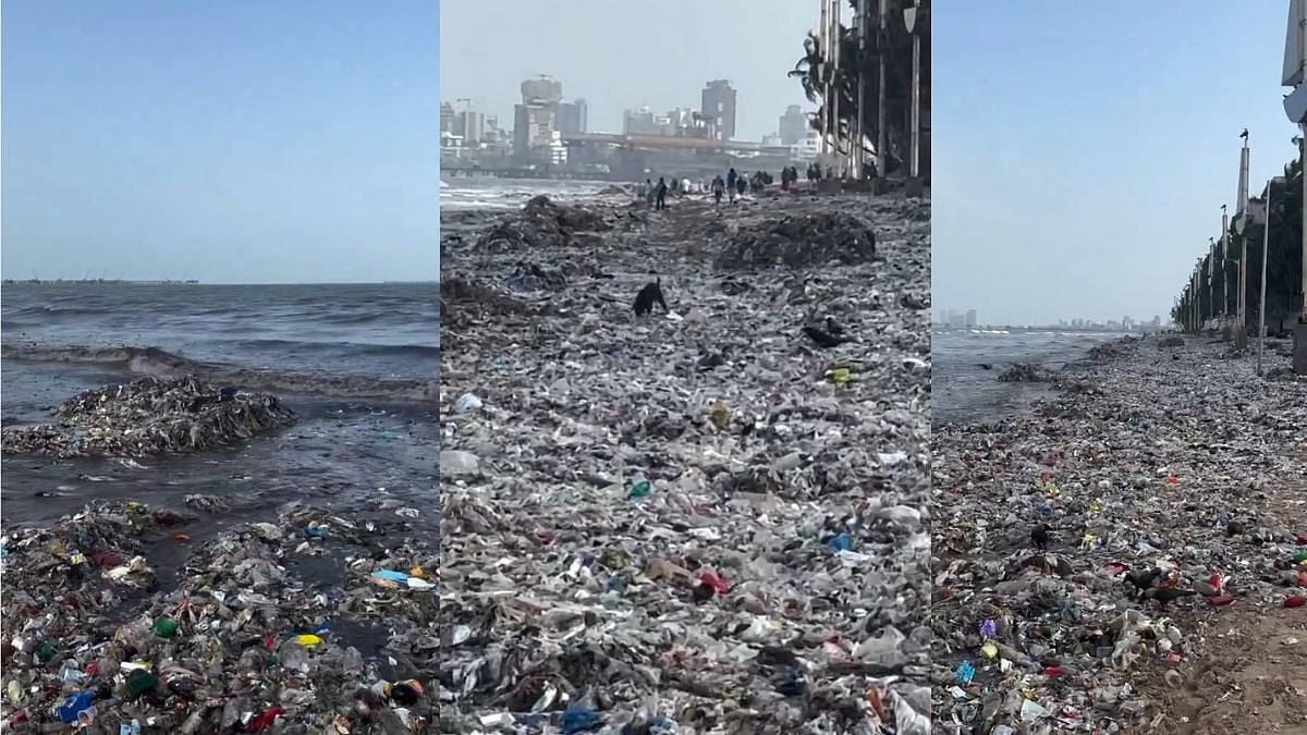 Arabian Sea Returns Mumbai's Waste: Juhu Beach Buried Under Plastic And Sewage After High Tide