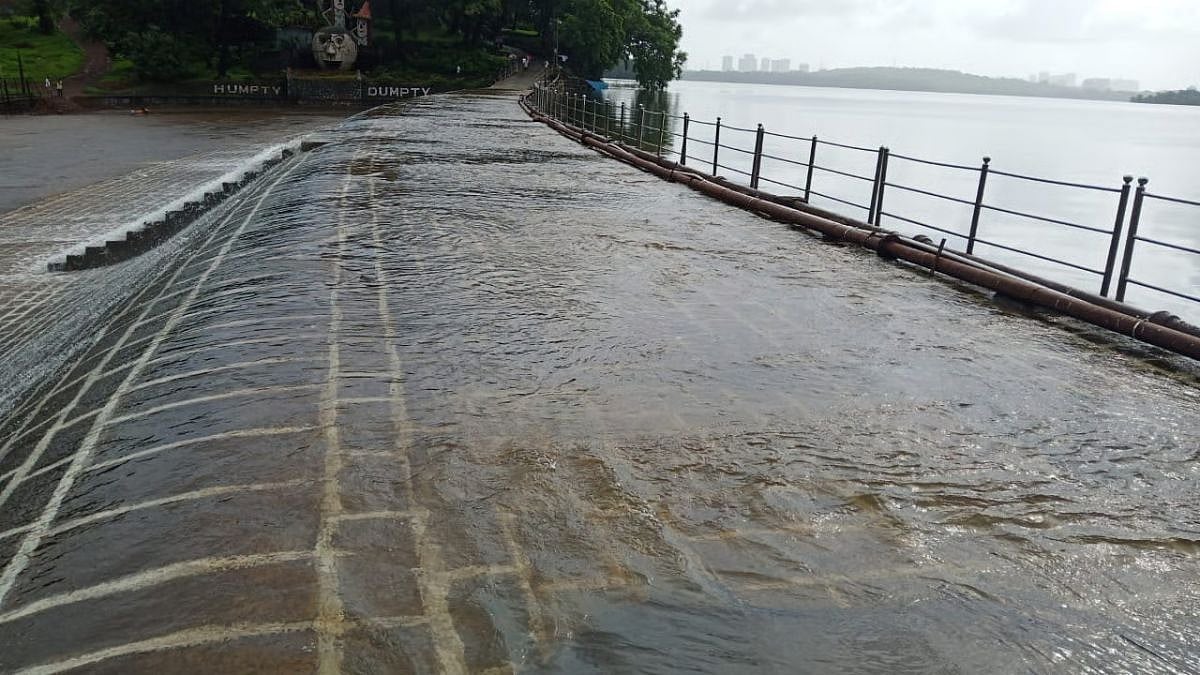 Mumbai's Lake Levels Rise To Nearly 50% On July 12 After Week Of Heavy Rainfall