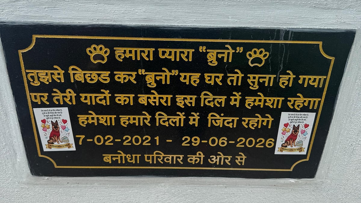 Neemuch Family Builds Memorial For Pet Dog Bruno, Performs Last Rites Like A Son