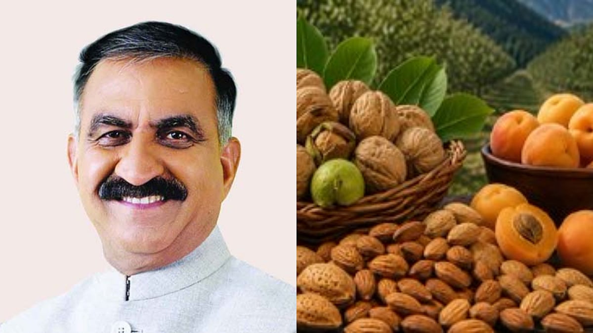 High Value Nut Mission Aims To Enhance Farmer Income, Productivity And Rural Employment In Himachal