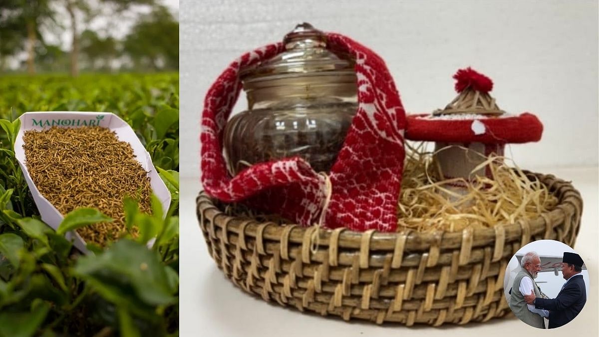 Prime Minister Narendra Modi Gifts Manohari Gold Tea To Indonesia; What Makes Assam's Golden Brew Special? 