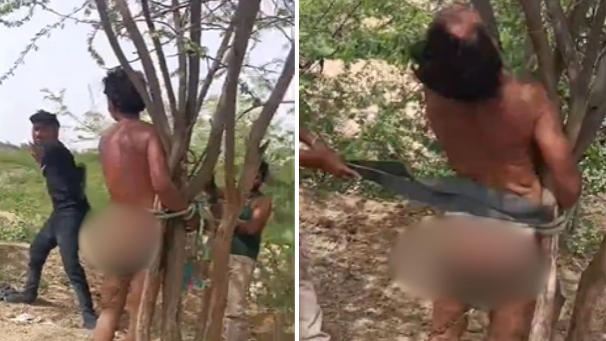 Youths Thrash Sister's Husband With Belts For Passing Lewd Comments On Woman In MP's Morena— Viral Video 