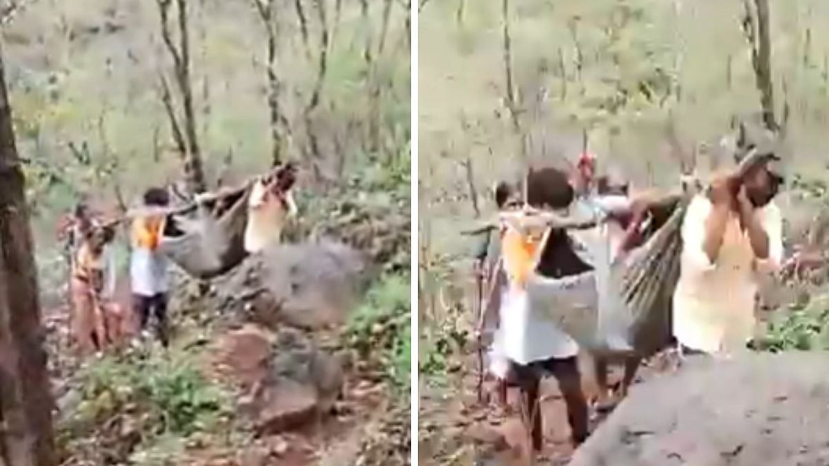 Pregnant Woman Carried In Makeshift Sling To Hospital As Village In Khalapur Near Mumbai Remains Without Road; Heartbreaking Video Goes Viral