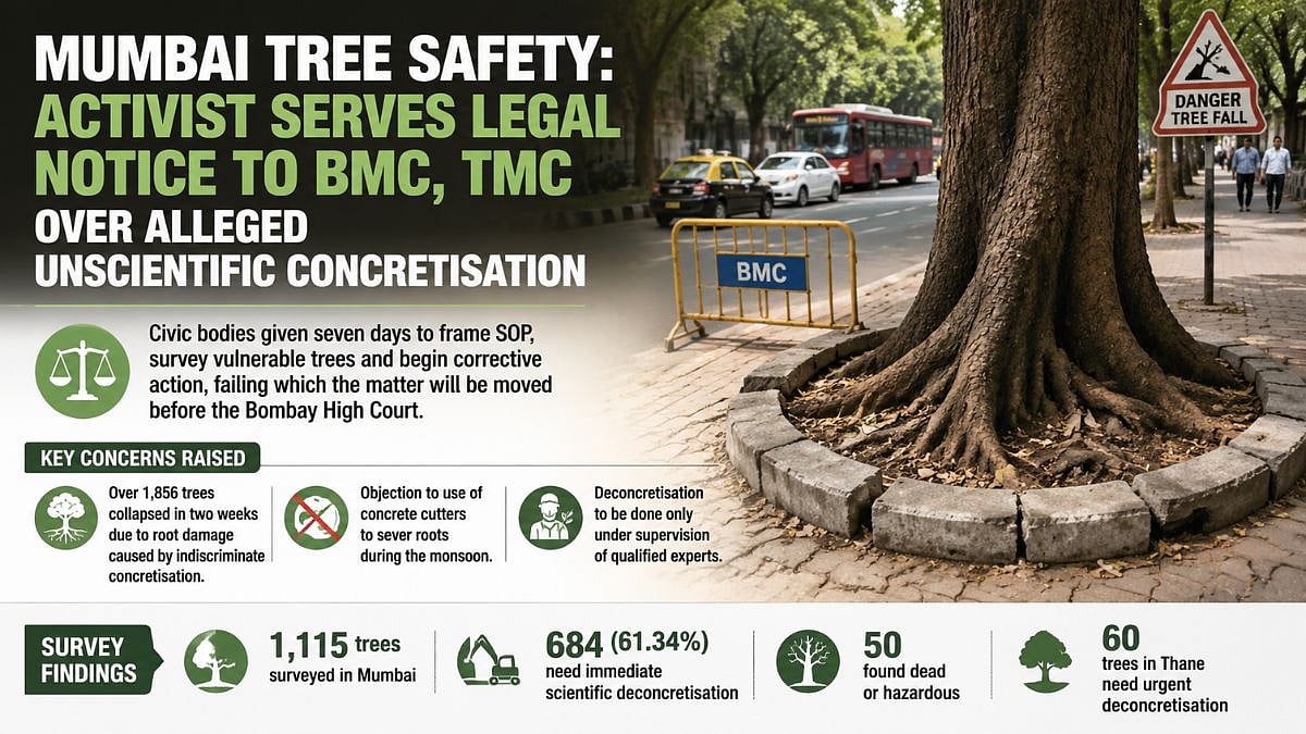 Mumbai Tree Safety: Activist Serves Legal Notice To BMC, TMC Over Alleged Unscientific Concretisation