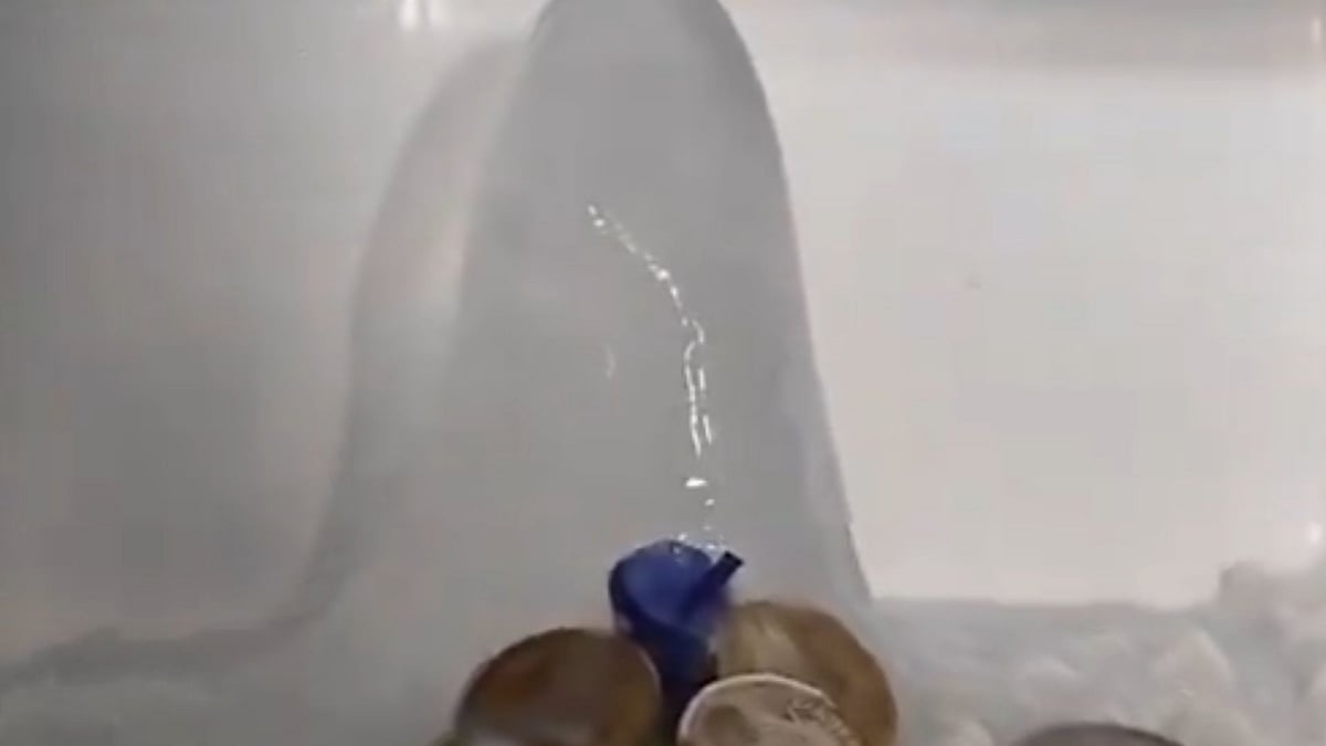 Agra: Shivling-Like Ice Formation Found Inside Refrigerator, Devotees Gather as Worship Begins - VIDEO