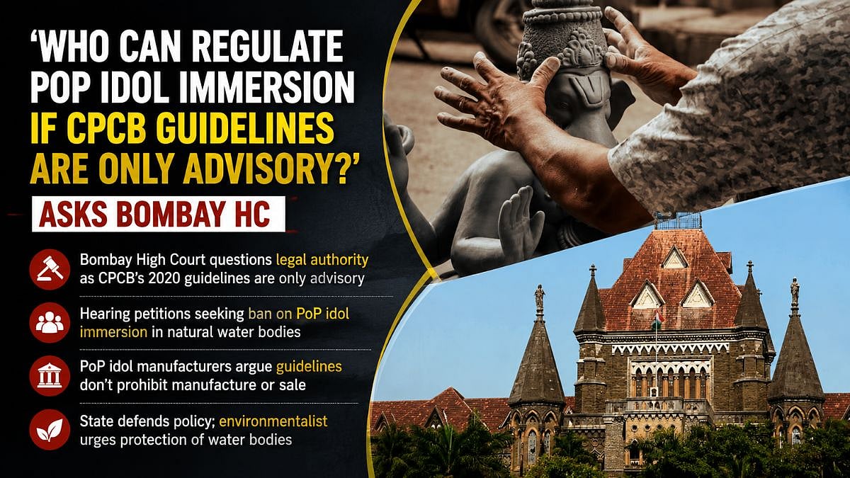 'Who Can Regulate PoP Idol Immersion If CPCB Guidelines Are Only Advisory?': Bombay HC Questions Legal Authority