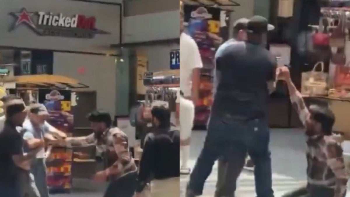US Mall Horror: Viral Video Shows Indian Man Stabbed Multiple Times, Bystanders Tackle Suspect