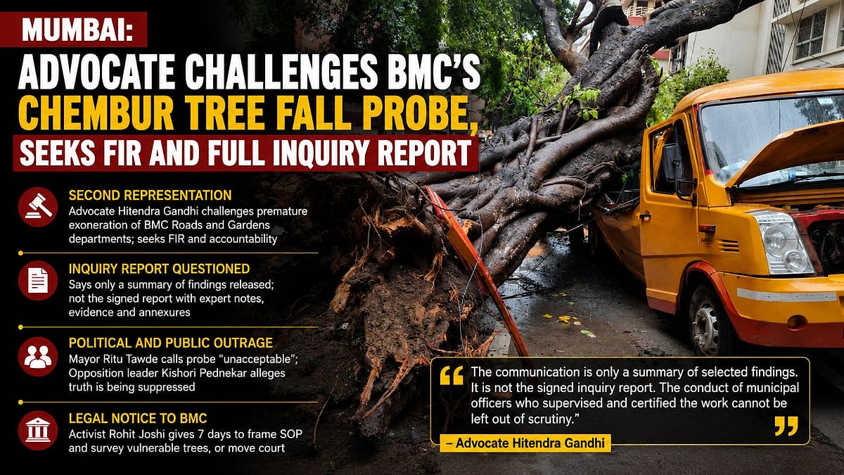 Mumbai: Advocate Challenges BMC's Chembur Tree Fall Probe, Seeks FIR And Full Inquiry Report