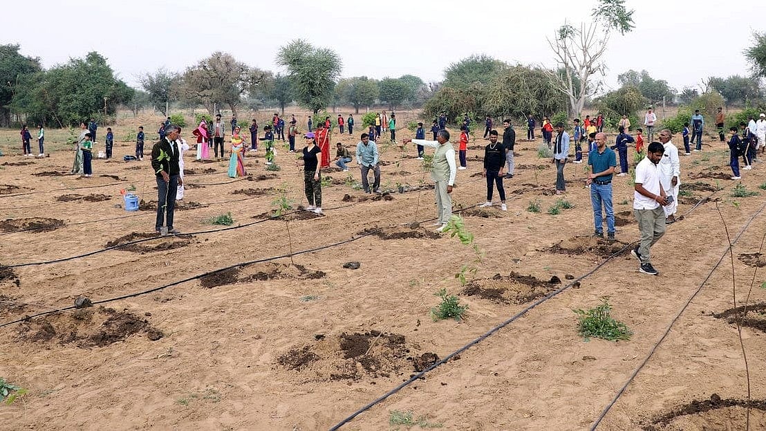 MP To Launch ₹100-Crore Urban Forestry Mission With Geo-Tagged Saplings