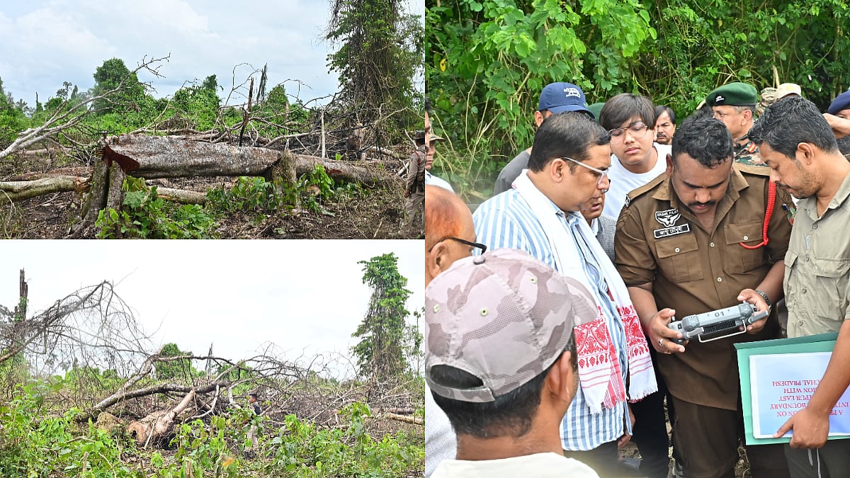 'Not A Single Tree Will Be Allowed To Fall': Assam Orders Action To Save Behali Forest