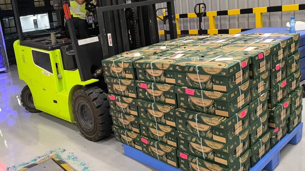Konkan's Guava & Drumstick Moringa Among The First International Shipment From NMIA