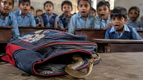 1.5-foot cobra found in nursery student’s school bag at government primary school in MP