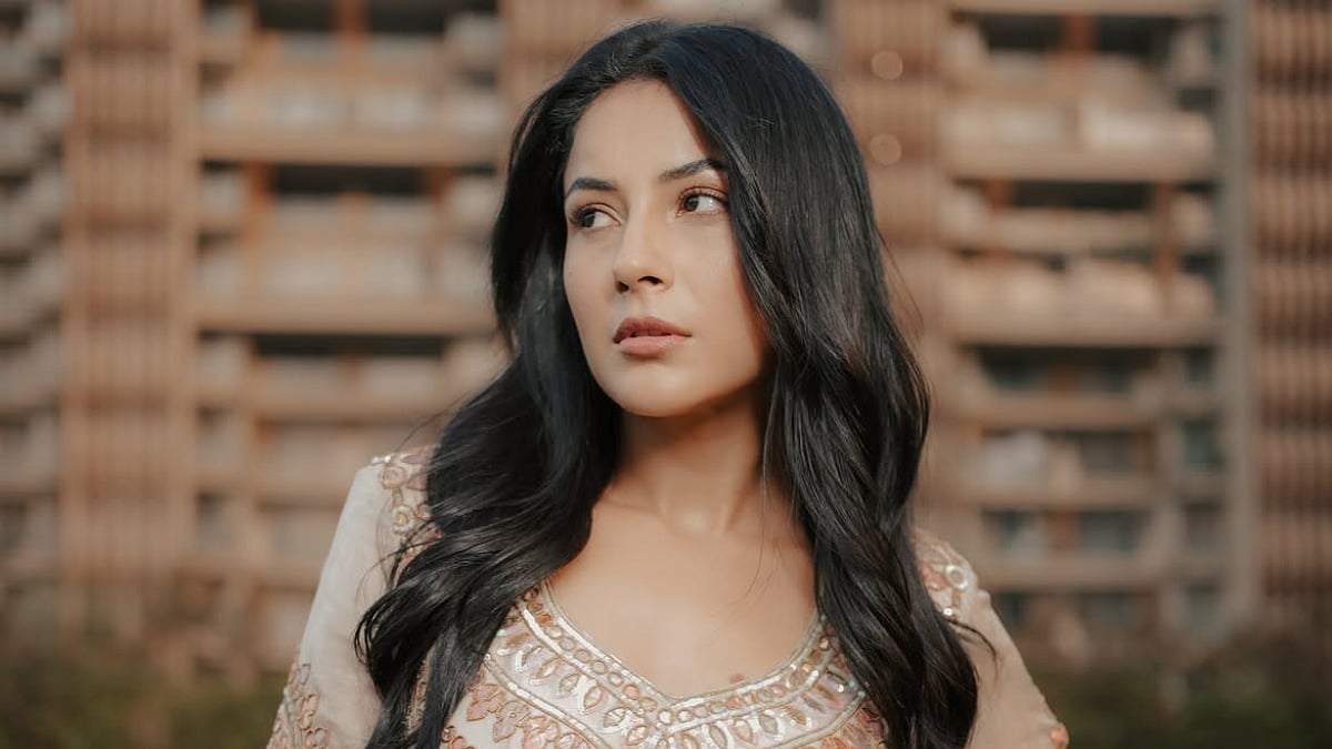 'Gawaar Jaisi Baatein': Netizens Slam Shehnaaz Gill For Mocking Therapy - Watch Video