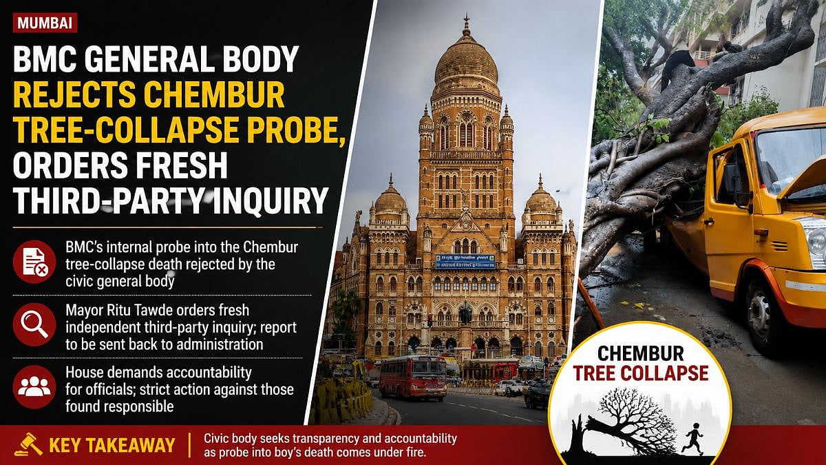 Mumbai: BMC General Body Rejects Chembur Tree-Collapse Probe, Orders Fresh Third-Party Inquiry