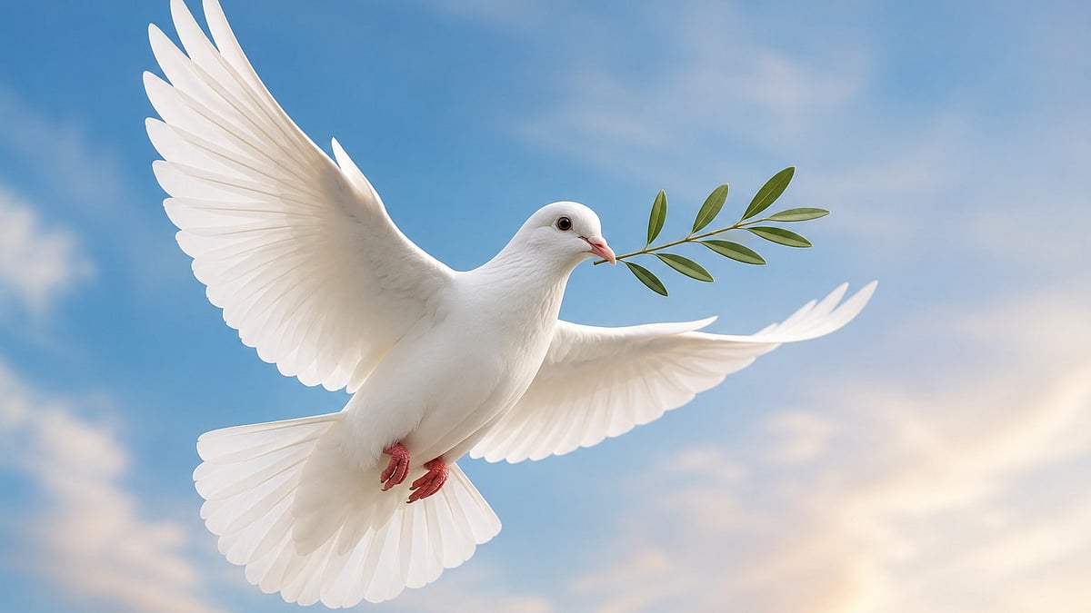 AI Says: Why Does The White Dove Symbolise Peace?