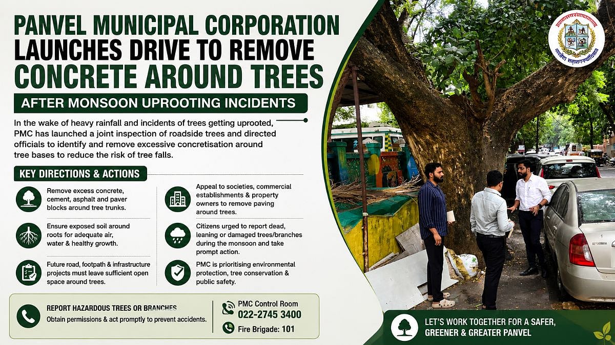 Panvel Municipal Corporation Launches Drive To Remove Excess Concrete Around Trees After Monsoon Uprooting Incidents